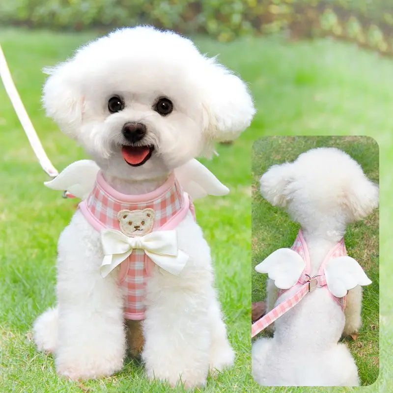 Dây Xích Mèo Dây Xích Chó, Thiết Kế Dễ Thương, Phù Hợp Với Chó Và Mèo Nhỏ Và Trung Bình Thích Hợp Đi Dạo, Dây Xích Mèo, Được Đánh Giá Tích Cực 96%, Năm 2025 3