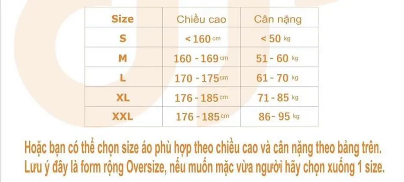 Product Introduction of Áo phông thêu tên theo yêu cầu form rộng 100% cotton 0