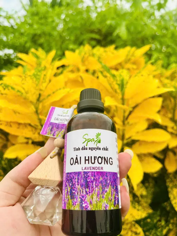 Tinh Dầu Oải Hương Nguyên Chất SPA 100ML - 50ML ( Tặng vở lọ treo xe ) 1