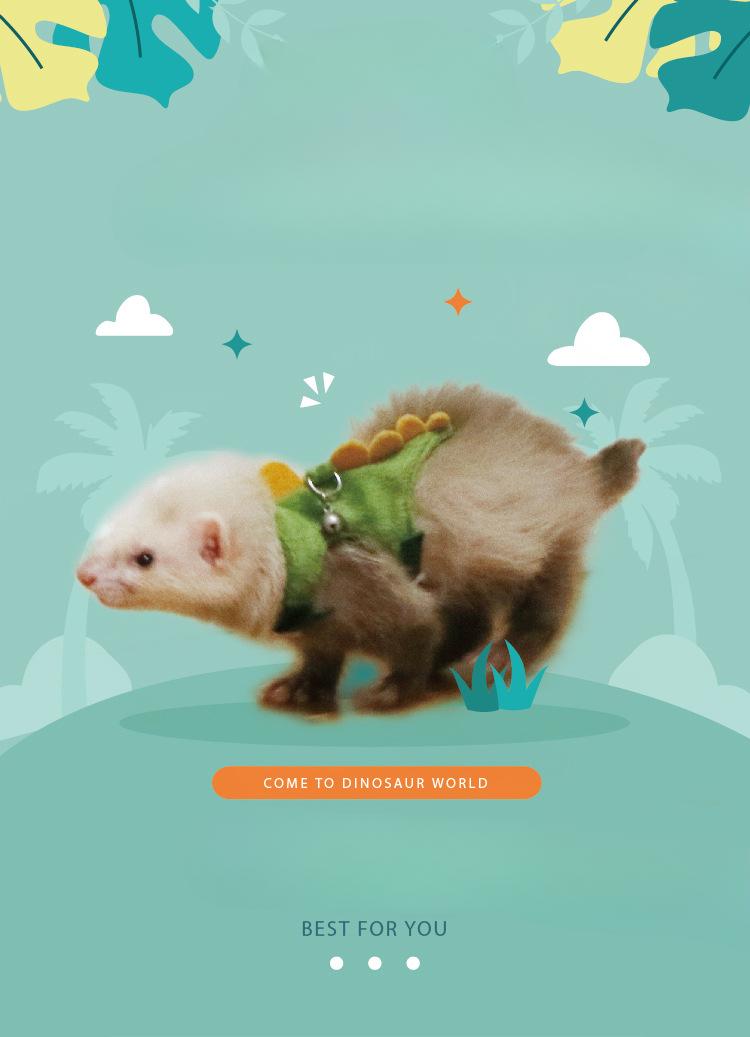 Product Introduction of Pet mink, ferret, dinosaur shaped traction rope, adjustable walking mink rope 1