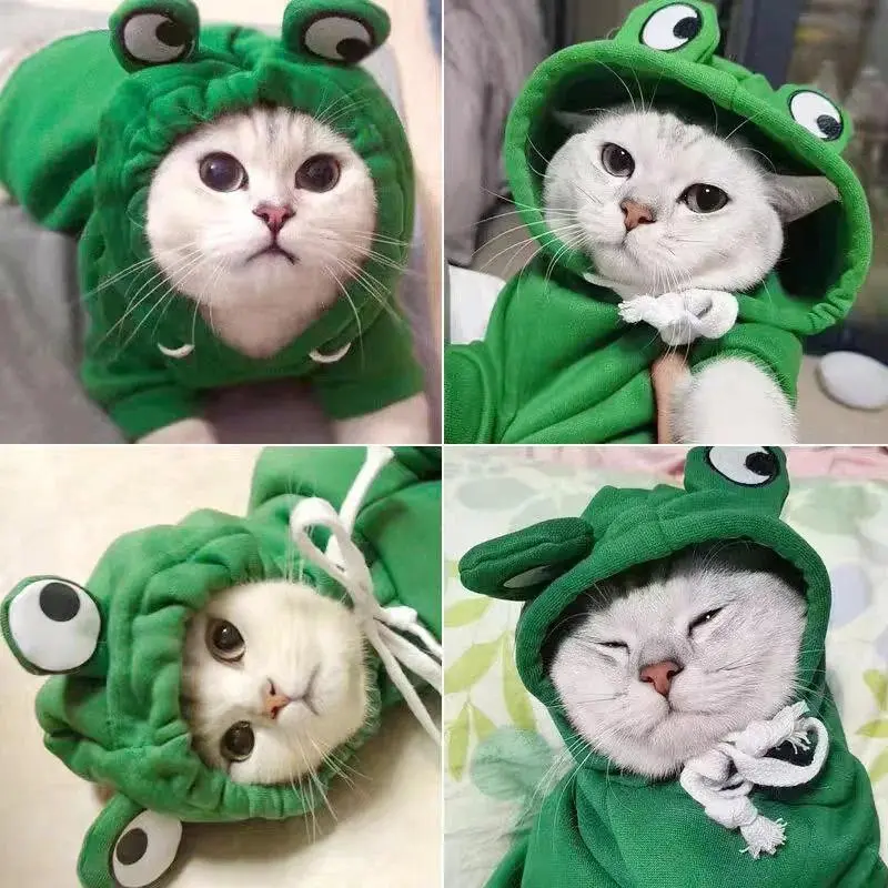 Quần áo cho chó bằng bông, ấm áp mùa đông, áo khoác cho chó hình chú ếch, thích hợp cho cosplay Halloween, quần áo cho thú cưng, áo Nỉ có mũ cho chó 2