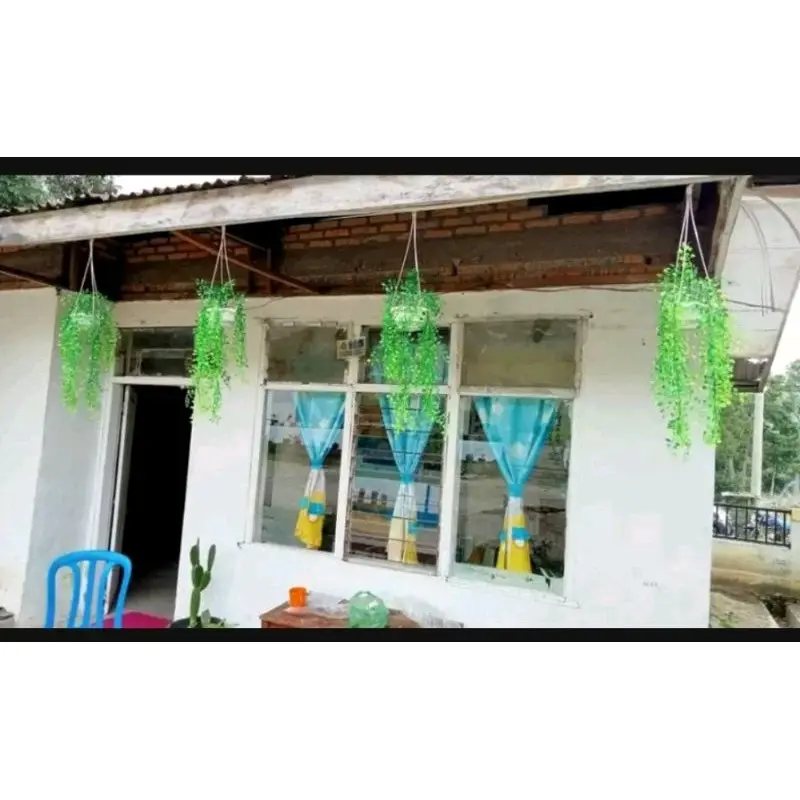 paket 3 set pot gantung dan daun kemuning hiasan teras rumah 4