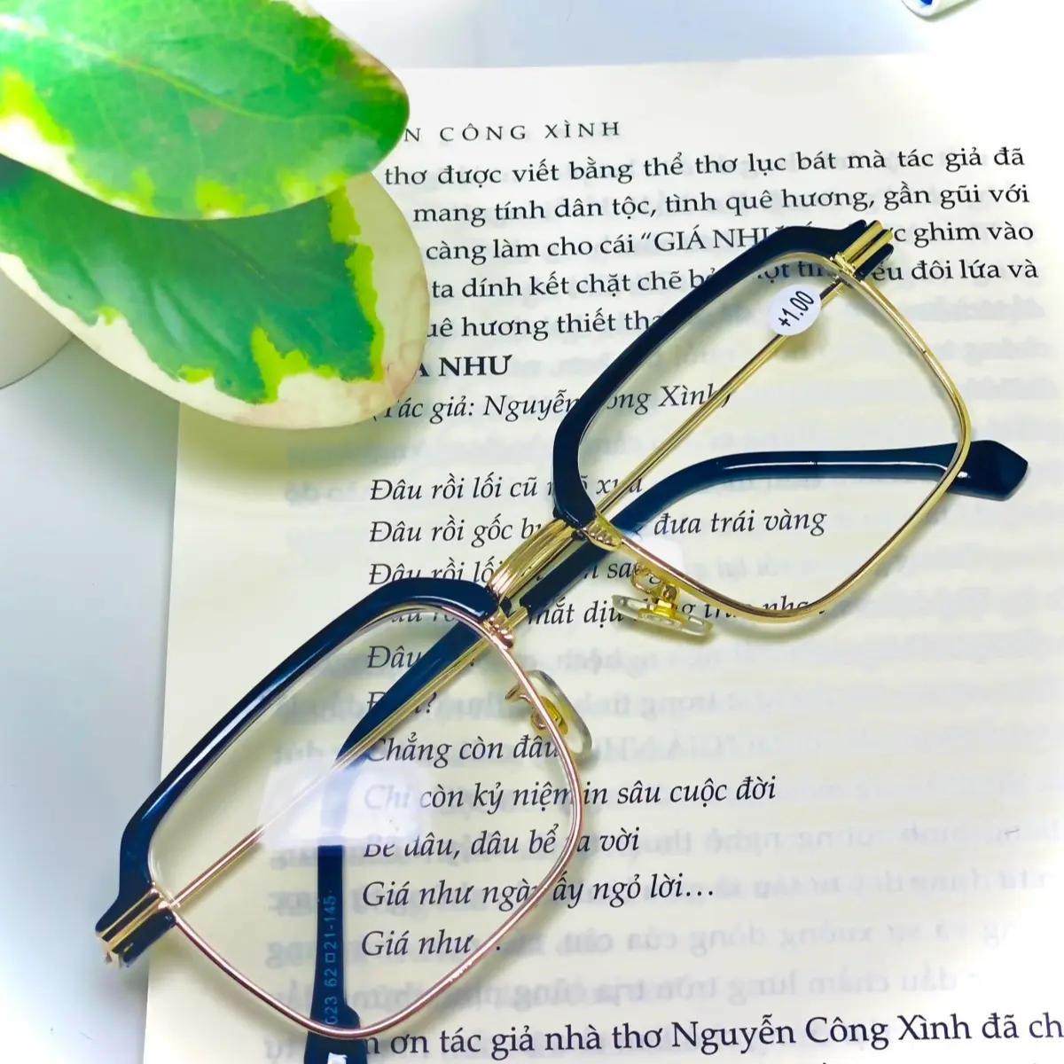 Kính viễn lão phom vuông gọng mý, tròng chống tia uv chống trầy xước dành cho cả nam và nữ