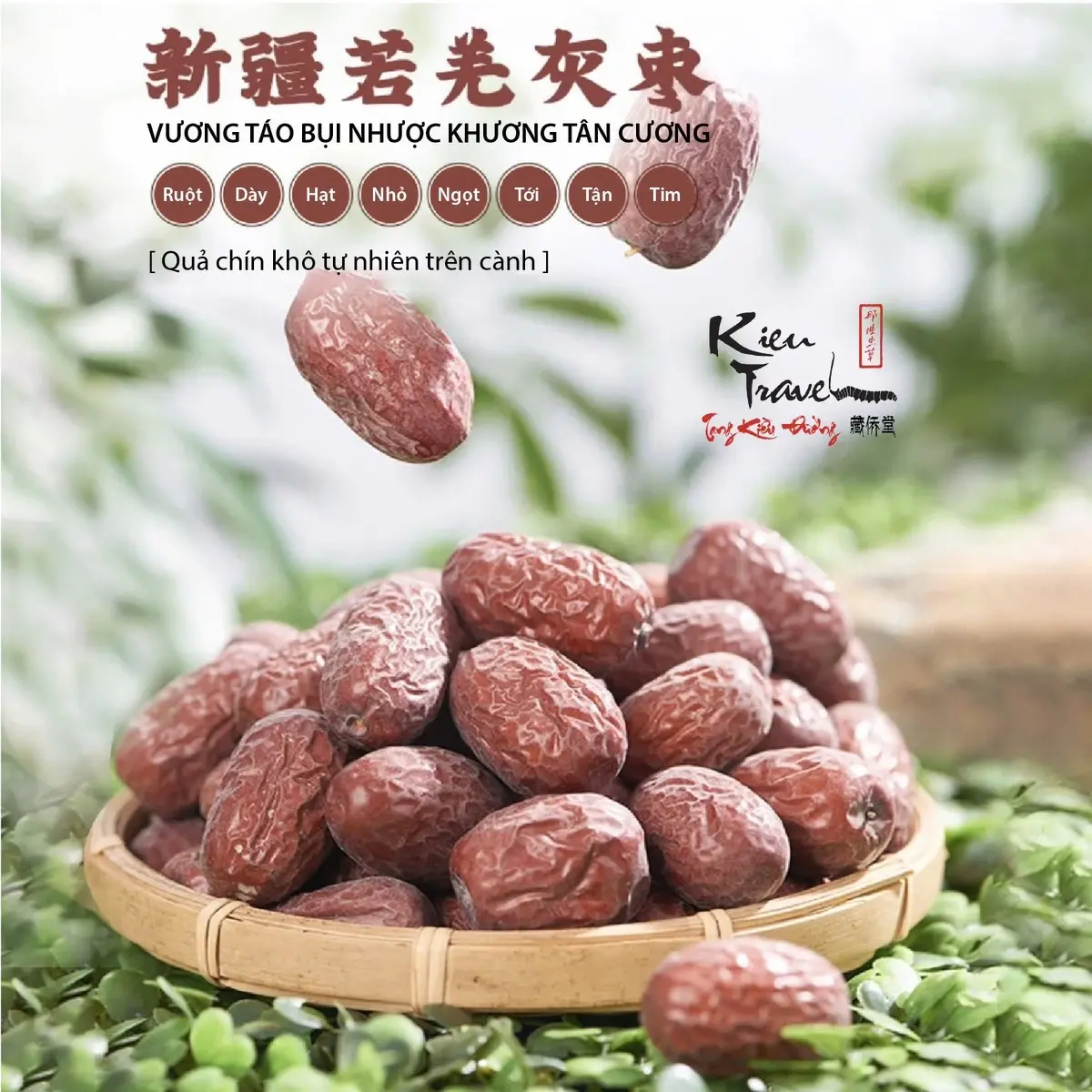 [ Kiều Travel ] Vương Táo Bụi Nhược Khương Tân Cương Size VIP ( 60 Quả / 500 GR ) - Nguyên Bản Nguyên Bụi Khô Tự Nhiên Chín Cành