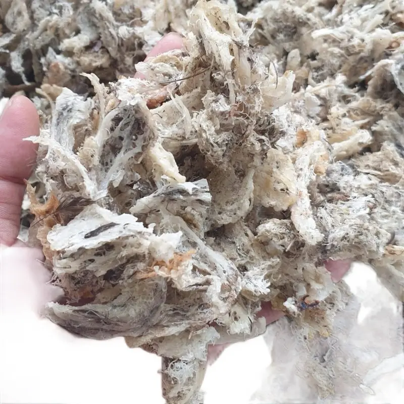 Yến thô bể vụn nhỏ - nở nhiều siêu tiết kiệm cho cả nhà - TẶNG KÈM TÁO ĐỎ - HẠT CHIA NHÍP GẮP ( TIỆM YẾN NHÀ AN )