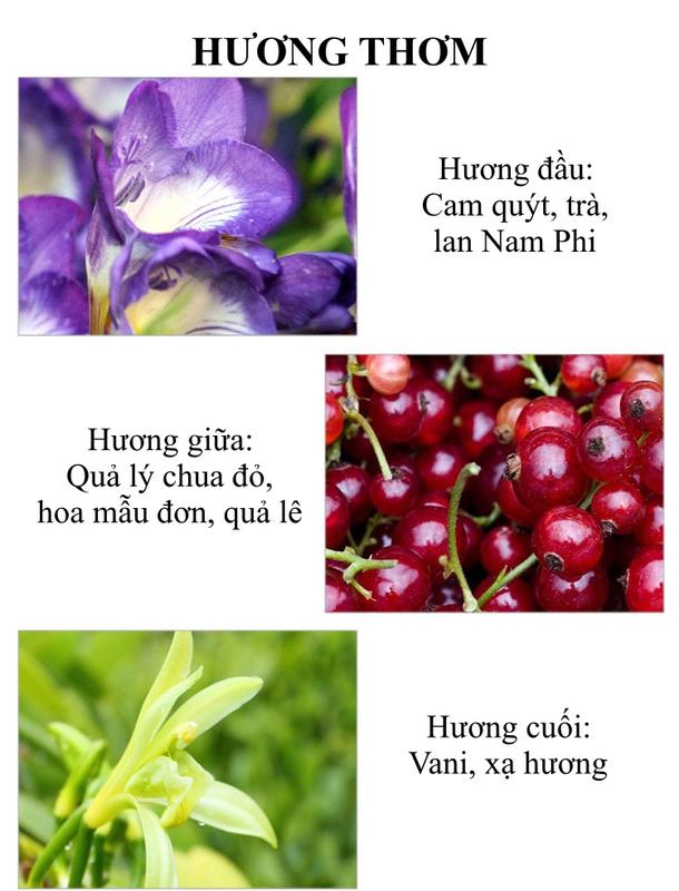 Nước hoa nam chính hãng AISXD thiết kế sang trọng, mùi hương nam tính ngọt ngào dịu nhẹ pha trộn đầy độc đáo, lưu hương lâu, dạng xịt, hương hoa quả khử mùi hôi nam, thơm lâu quyến rũ  50ml DNP003 3