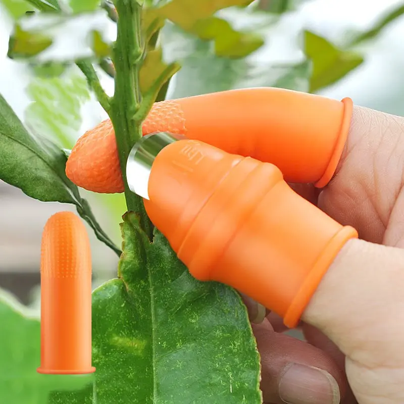 Găng tay bấm, ngắt, hái rau chuyên dụng, bộ móng hái rau tiện lợi, bô móng hái rau 4 ngón dùng cho nam và nữ 1