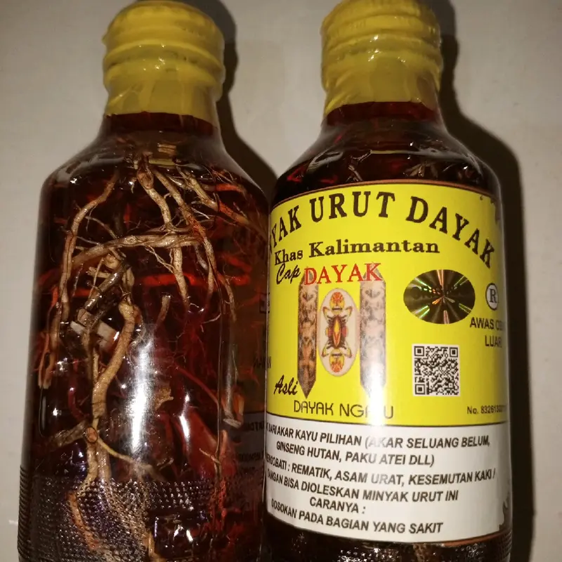 minyak asli kalimantan dayak Minyak Pijat 2