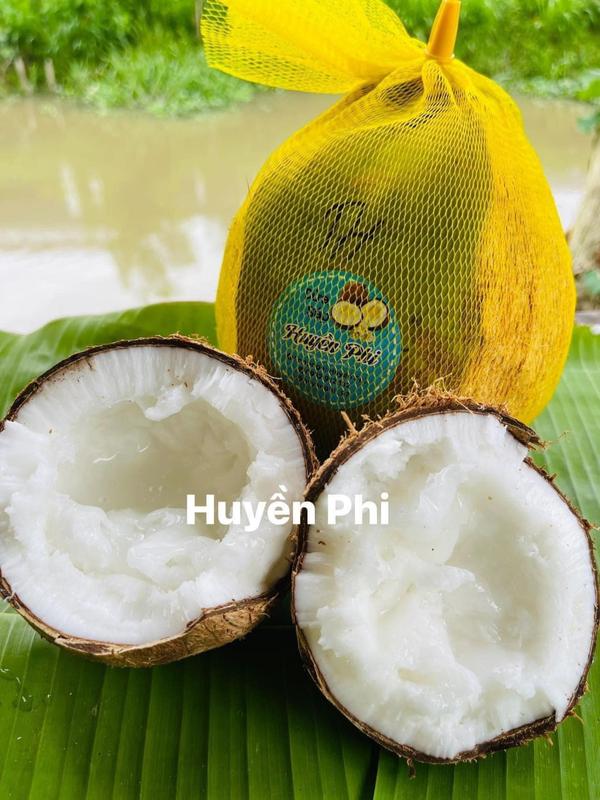   Combo 2 DỪA SÁP LOẠI 1 -SÁP ĐẶC size LỚN - trái trên 1kg     kèm 2 túi đậu phộng rang mỗi túi 100g + 4 túi sữa đặc   