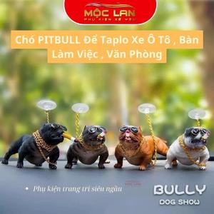 Chó PITBULL Để Taplo Xe Ô Tô , Bàn Làm Việc - Phụ Kiện Trang Trí Taplo Xe Hơi Chó Bull Cool Ngầu