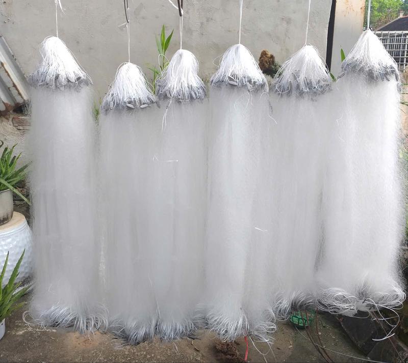 Lưới Đánh Cá 3 Màn Cước Trắng Mềm – Then 1, 2, 3, 4, 5 | Cao 1m, Dài 100m, Phao Chì Đầy Đủ