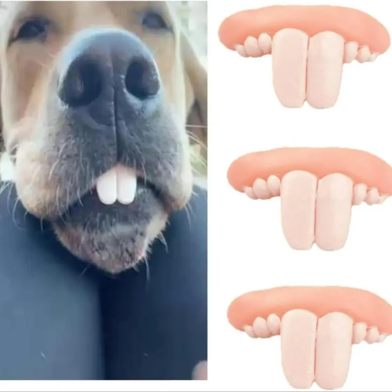 Fake Teeth Dog Toy, 3 Counts Funny Dentures for Dogs, Creative Humorous Durable Tear Resistant Dog Toy, Dog & Cat Accessories 1