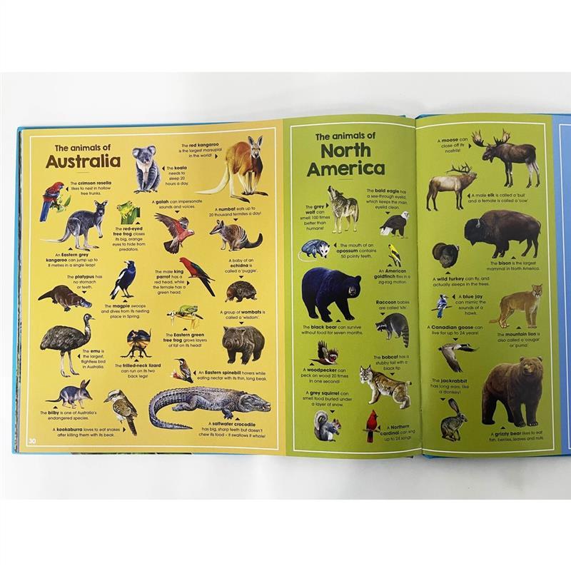 High Quality Animals Of The World Book For Kids To Learn Interesting Facts About Animals (Hardcover) 7