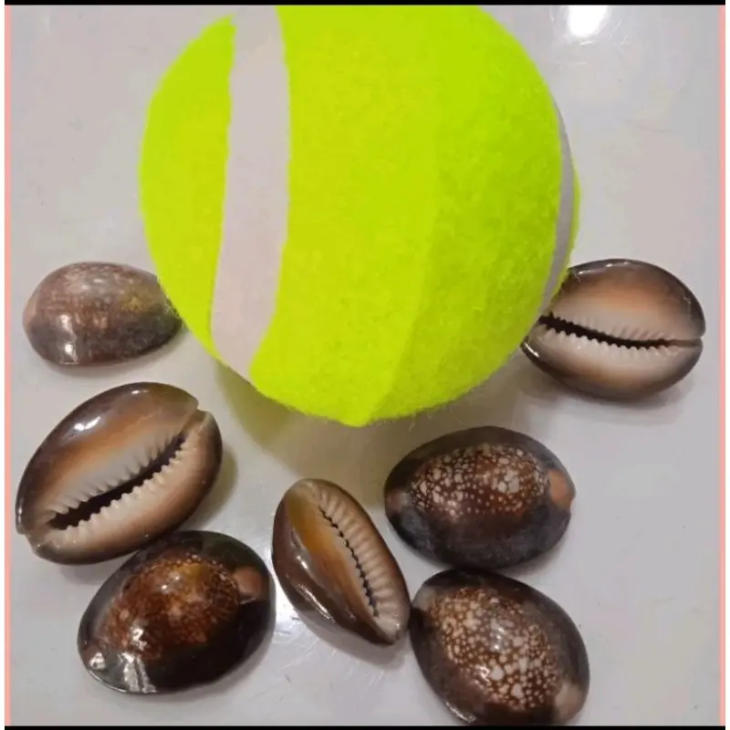 MAINAN JADUL BOLA BEKLANG 0