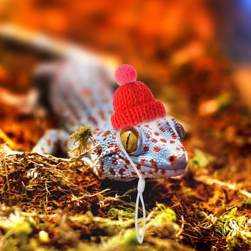 Product Introduction of Snake Hat Guinea Pig Hat Hamster Hat with Adjustable Chin Strap for Chinchilla Ferret Hedgehogs Small Animal Outfit Suit Cosplay #436289 37