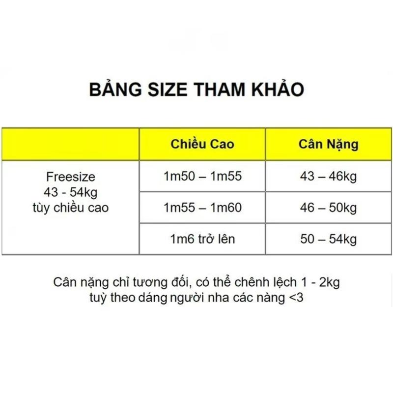 Product Introduction of Set váy phối bèo ren nữ 2 tầng dày dặn pc gen K5850 Áo Women 0