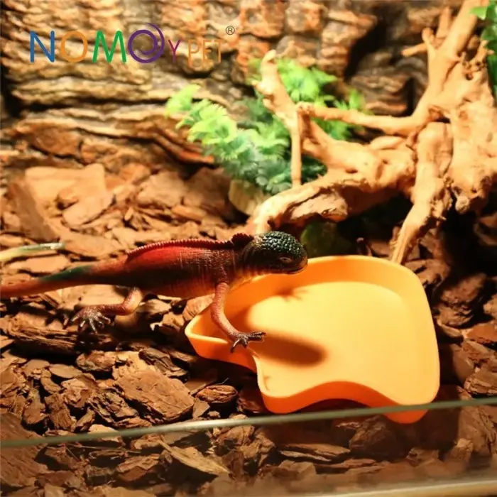 Nomoy Feeding Dish Tempat Makan Torto Tempat Makan Reptil Duck Claw - NW05 Large 2