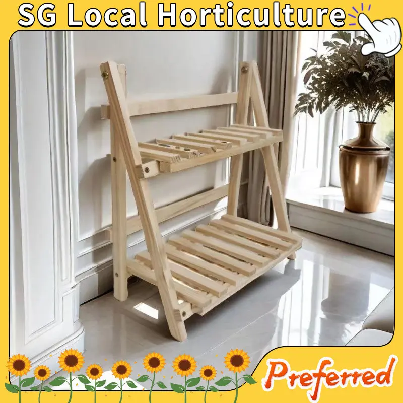 【SG Local Horticulture】Multi layer succulent plant flower rack - TikTok ...