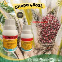 Gambar ZPT Pematang Buah CEPHA 480 SL 100 Ml Etefon 480 Gl dari PUROTANI.ID Kab. Purworejo 1 Tokopedia