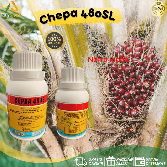 Gambar ZPT Pematang Buah CEPHA 480 SL 100 Ml Etefon 480 Gl dari PUROTANI.ID Kab. Purworejo Tokopedia