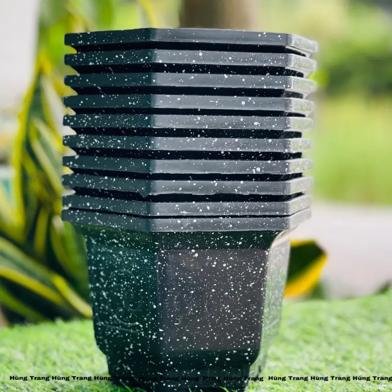 [Combo 10 cái ] Chậu Nhựa Lục Giác 210 (Miệng 23cm x Cao 15cm) - Chậu Cảnh 4