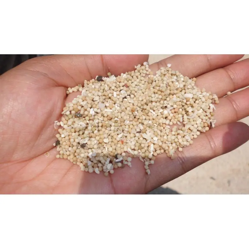 Pasir Bali Aquarium Aquascape Pasir Pantai 1kg 1