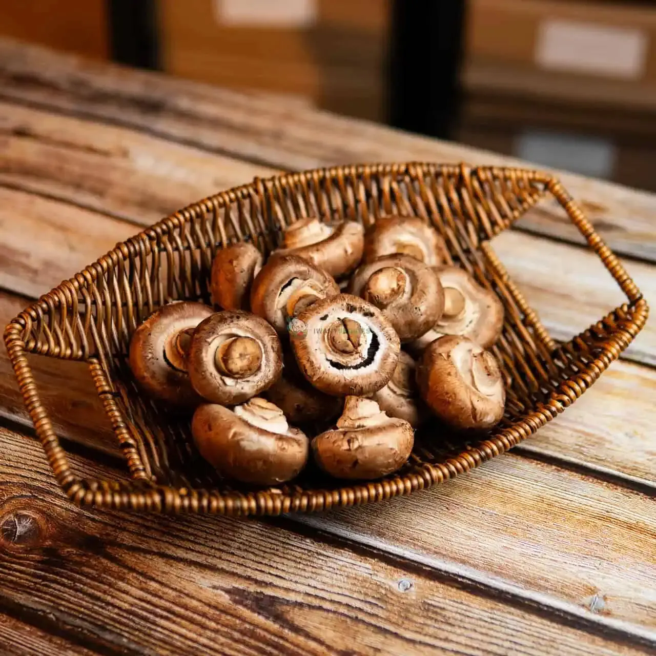 Swiss Brown Mushroom (KG±)