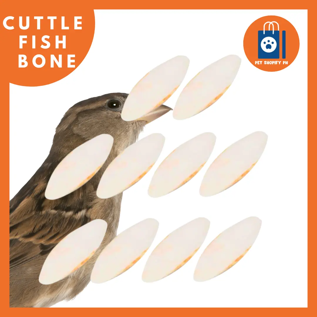 CUTTLEFISH BONE FOR BIRDS (AVAILABLE IN DIFFERENT SIZES)