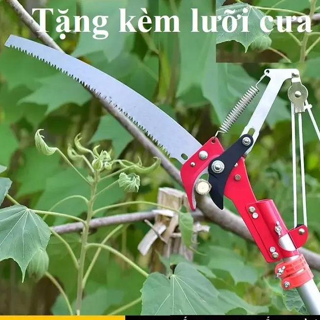 -Đầu kéo tỉa cành trên cao, Kéo cắt cành cây trên cao kèm cưa 6