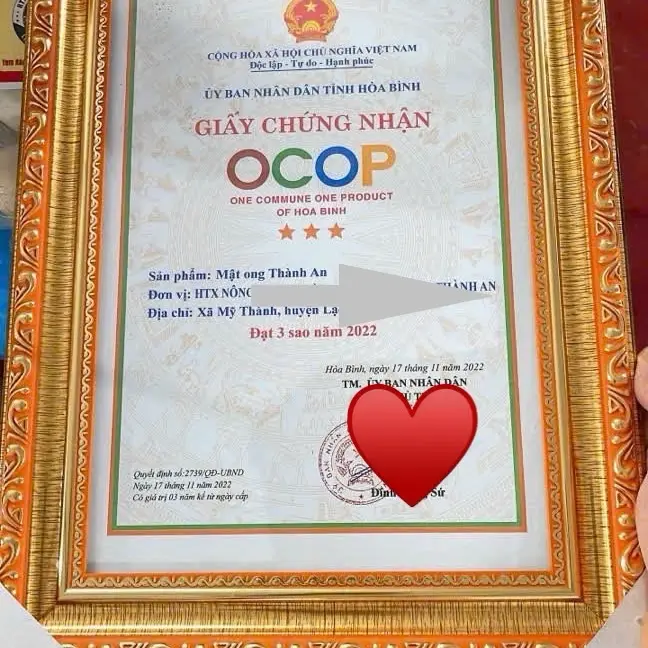 Combo 3 chai Mật Ong Thành An 6