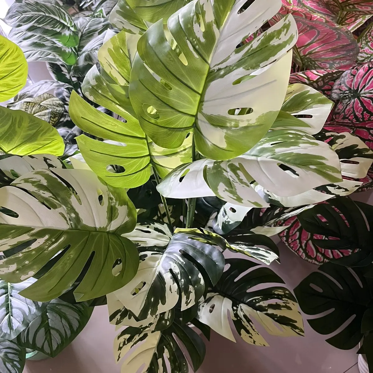 Tanaman artificial monstera verigata D24 (Tanpa pot)