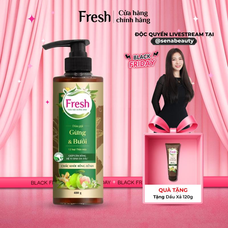   SENABEAUTY x FRESH  Dầu Gội Fresh Thảo Mộc Dưỡng Sinh 480g - Giúp Tóc Chắc Khoẻ Bồng Bềnh Với Chiết Xuất Gừng & Tinh Dầu Bưởi 