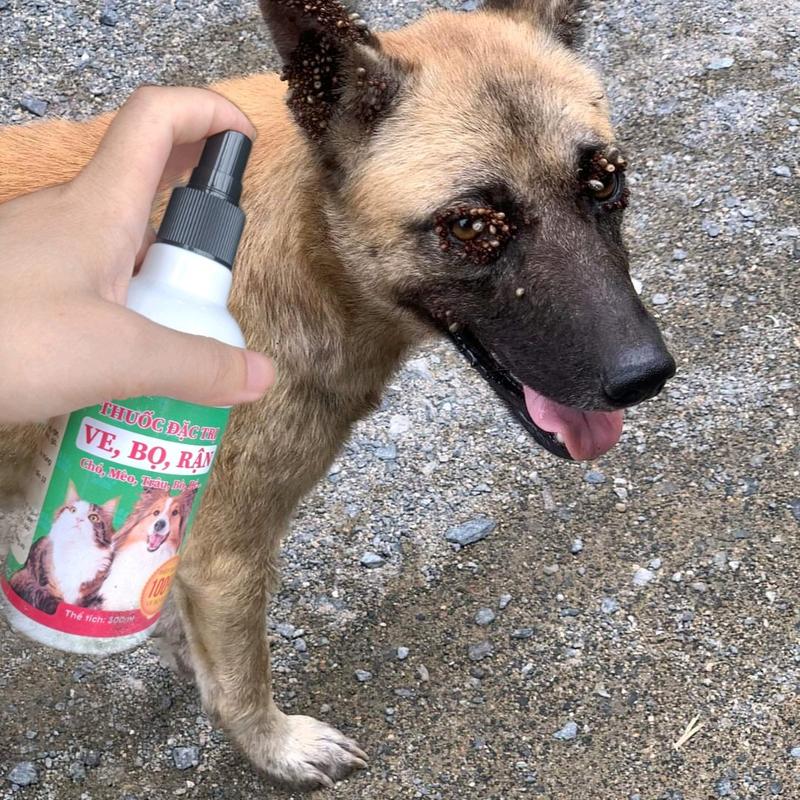 Xịt diệt sạch ve,bọ rận (300ml) cho chó mèo trâu bò,môi trường