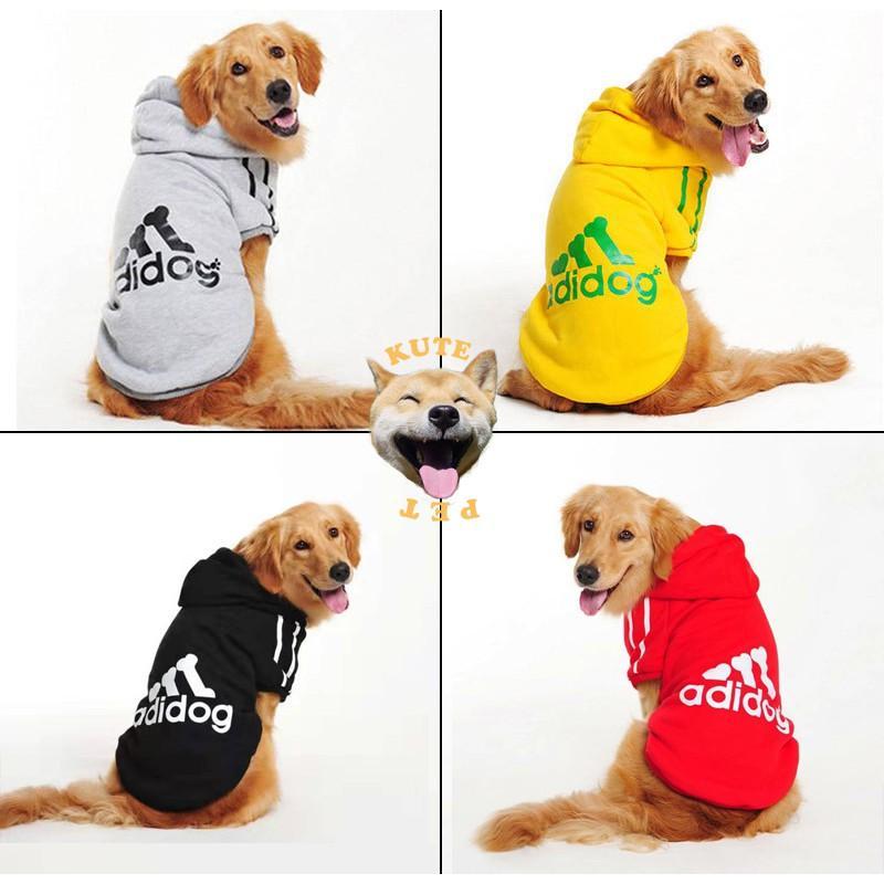 Áo cho chó to từ 10 - 50kg chó bull