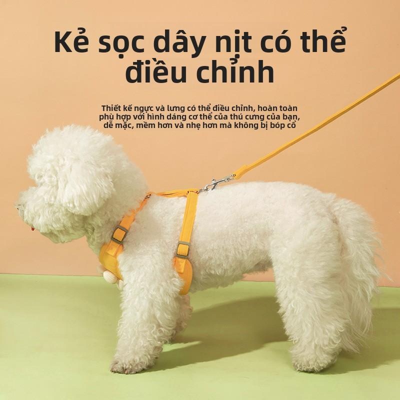 Dây Xích Thú Cưng, Thêu Hoa Cúc, Bộ Vest Ren, Thích Hợp Cho Chó Và Mèo, Dây Đai Nịt Cho Chó Nhỏ vòng  cổ  cho  mèo  khắc  tên hộp  đựng  hạt  cho  mèo lục  lạc  cho  cún  chó chuông  đeo  cổ  chó pet  chuỗi xích  chó  cỡ  lớn dây  xích  chó breakaway  col 1