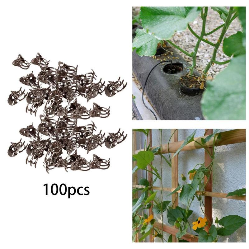 100x Plant Support Clips Gardening Tool Plant Climbing Fixing Clip for Climbing Plants Cucumbers Loofahs Outdoor Grape Vine 4