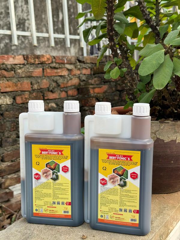 Giải độc gan với Kháng Thể Bổ nội tạng 2