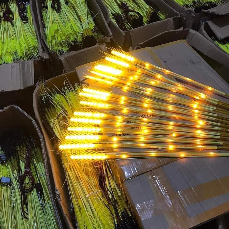 Product Introduction of Đen led bóng lúa trang trí 10 cây 2