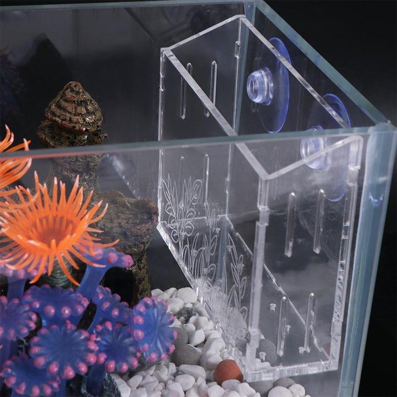 Product Introduction of Creative Wall Hanging Aquarium Plants Cup Transparent Floating Aquatic Planter Holder With suction cups Fish Tank Planting Cup Emersed Plants 9