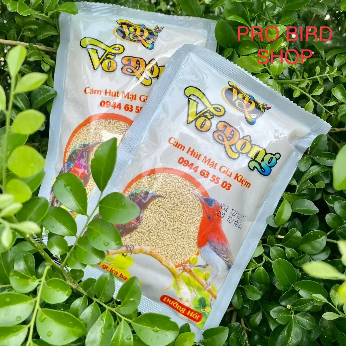 Cám Chim Hút Mật GIA KIỆM VÕ ĐÔNG