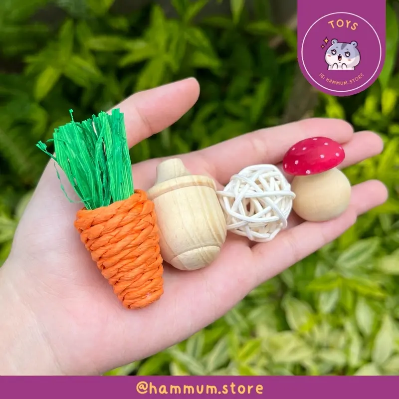 Hamster Chew Toy Pack Set | Paket Gigitan Hamster Lengkap | Trial Pack | Asah Gigi Hamster | Mainan Hamster 0