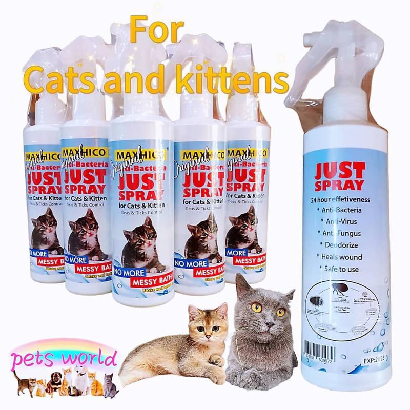 How to Get Rid of Fleas on Kittens - Pet Health MD - 1800PetMeds - Kitten Flea Control For Purebred
