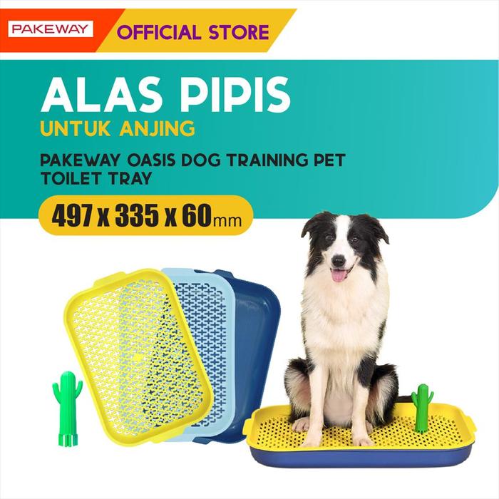 Gambar Pakeway Oasis Training Pet Toilet & Tray 33x45/ Tatakan Pee Anjing dari M-Pets Volk Pets Indonesia Kota Administrasi Jakarta Barat Tokopedia