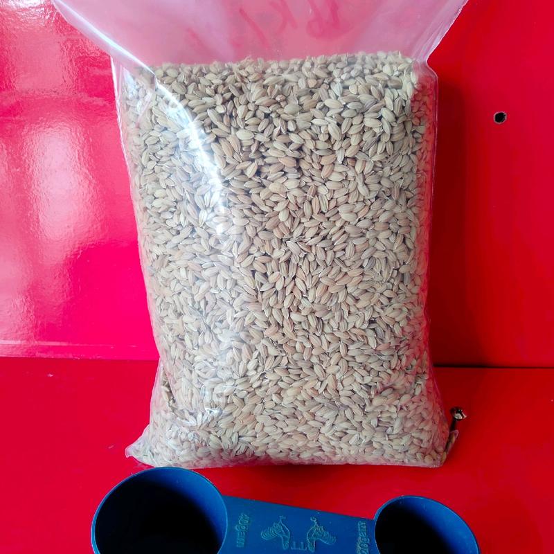 lúa nhật sạch (đã sàn qua máy )+ 1 muỗng chia thức ăn dành cho gà đá, chim cu, bồ câu 1