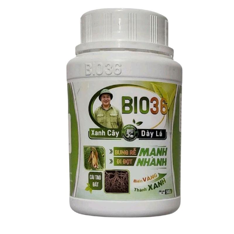 Mua 3 tặng 1 Bio 36 500g siêu kích rễ đi đọt nhanh, tăng năng suất, Bio36 khỏe cây dày lá, phục hồi cây sau thu hoạch 1