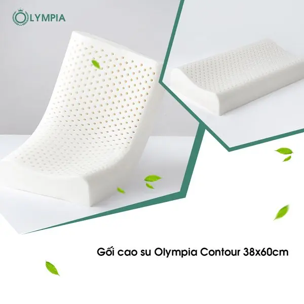 Gối cao su Olympia Contour