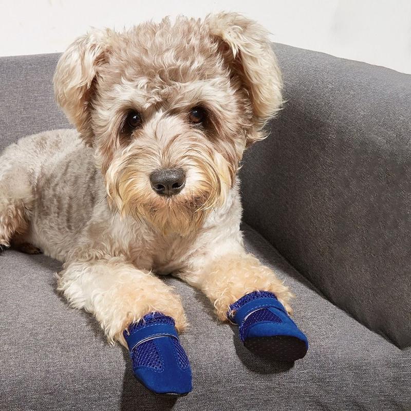Product Introduction of PETY HOUSE 4pcs/set Durable Comfortable Pet Rain Boots Breathable Protective Pet Dog Shoes Anti-slip Easy To Clean Dog Short Boots for Home 12