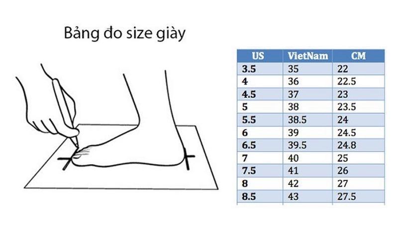 Product Introduction of (FORM NHỎ- LẤY LÊN 1 SIZE)Giày cao gót phale đá mặt trời bít mũi 9cm/7cm HALEY STORE mika trong suốt đi chơi đi tiệc đi làm đám cưới kỉ yếu 0