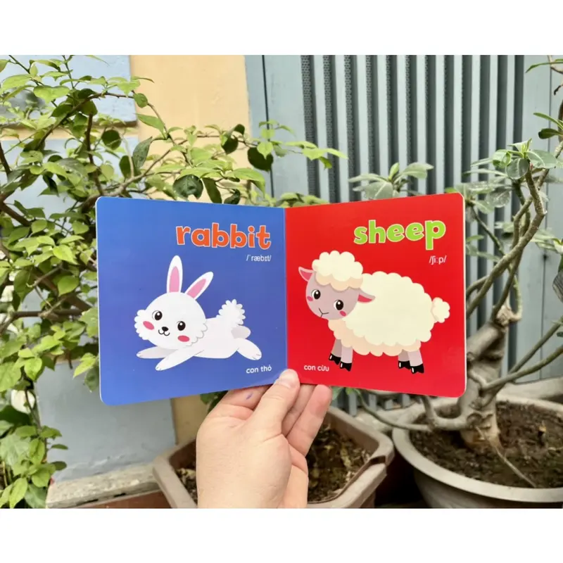 Bộ Sách 8 Cuốn Bìa cứng thư viện hình ảnh đầu tiên cho bé Baby First Picture Book Song Ngữ Việt Anh 7