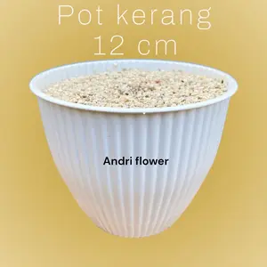Pot kerang pelastik 12 cm dengan batu alam didalamnya Hijau